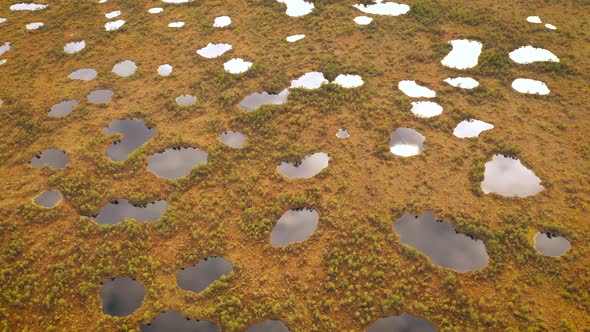 Flying Over Wild Nature with Huge Swamp at Sunny Summer Day