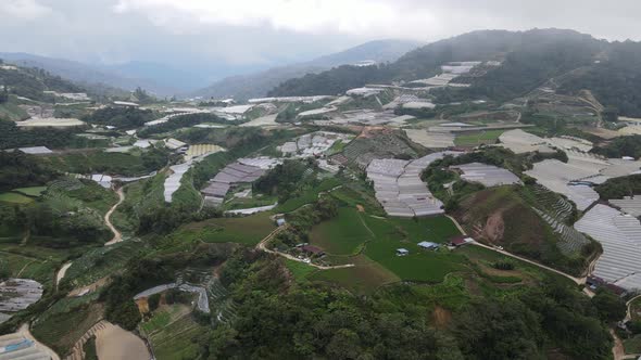 Cameron Highlands, Pahang Malaysia