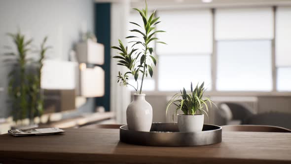 Houseplant with White Flowerpot on Wooden Table