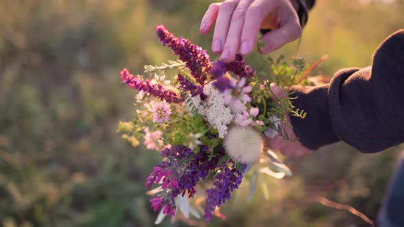 Field Flowers in Woman Hand on Sunset or Sunrise