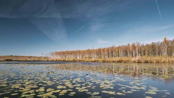 Berezinsky Biosphere Reserve Belarus