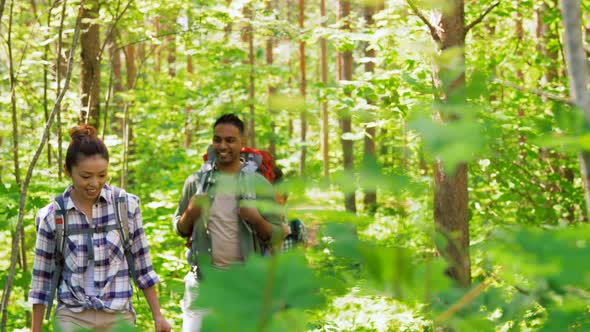 Group of Friends with Backpacks Hiking in Forest