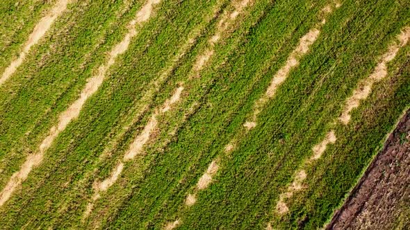 Aerial drone view of a flying over the rural agricultural landscape.