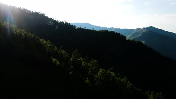 Mountain Hills with Green Leaves Under the Bright Summer Sun