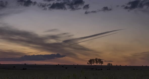 Flat Hill Meadow Timelapse at the Summer Sunrise Time