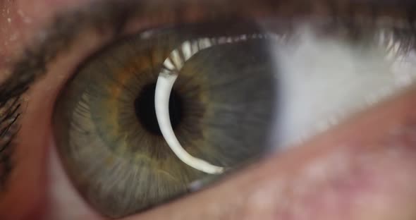 Closeup of Green Female Eye  Movie Slow Motion