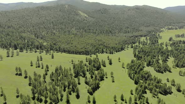 Green Meadows in The Sparsely Wooded Between Forest Covered Hills with Aerial View