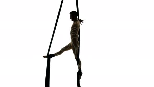 Man Dancer on Aerial Silk, Aerial Contortion, Aerial Ribbons, Aerial Fabric in Posing Exercise