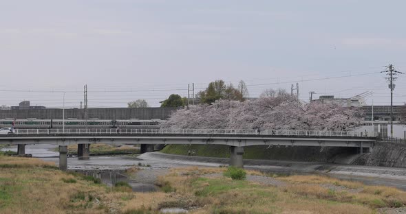 The Best Spots in Kyoto