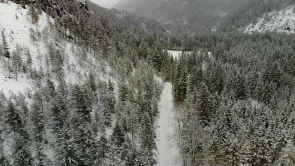 Beautiful view on an Forest with Mountains in Schiederweiher in Upper Austria Drone Video