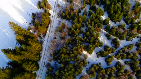 Dronevideo of an Forest in the Winter