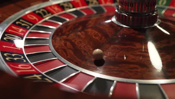 Roulette in the Casino Spins and White Ball