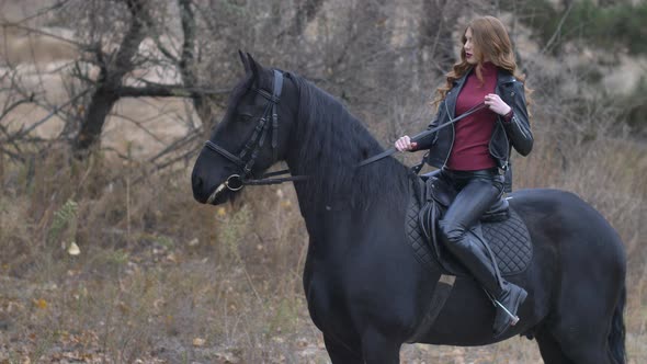 Beautiful Young Woman Riding a Horse Near the Forest Cute Young Woman Sitting on a Horse and Posing