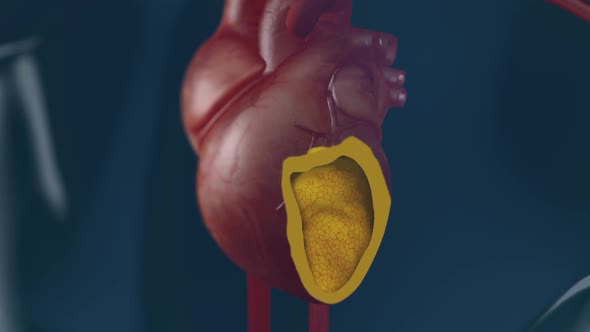 heart with blood action close up animation alt