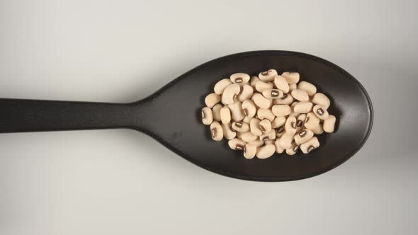 Black Spoon Is Filling By A White Dried Beans