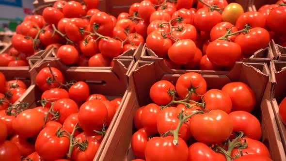 Fresh Tomatoes on the Shop Counter