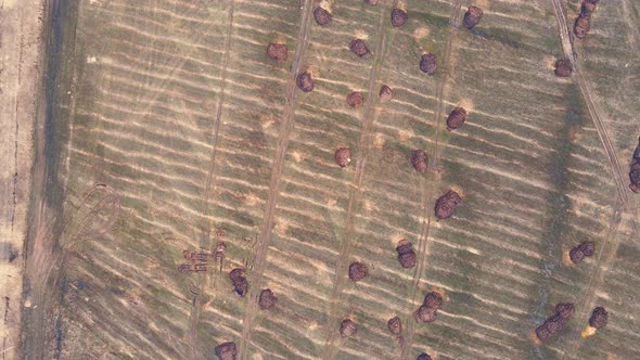 Manure Heaps in a Farmer's Green Field Lie Flat Aerial View