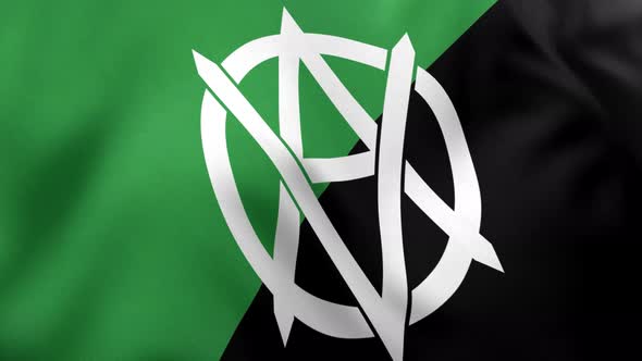 Veganarchism Flag - 4K