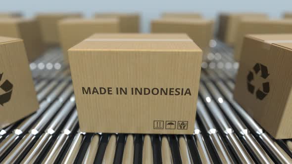 Boxes with MADE IN INDONESIA Text on Conveyor