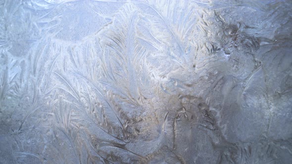 Beautiful Frost Pattern on a Window Glass