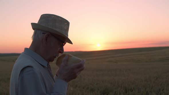 Senior Man Stands in a Wheat Field During Sunset Sniffs Bread and Looks To Sky