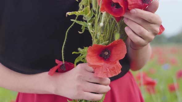 Close-up of Unrecognized Female Hands Holding Bouquet of Flowers in a Poppy Field. Connection with