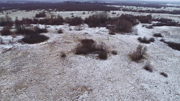 Flight Over the Winter Flat Landscape. A Rare Forest Between Large Meadows. Winter, Some Snow