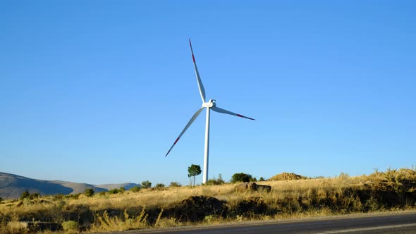 Wind Tribunes and Landscapes