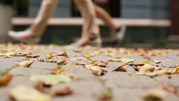 Autumn leaves on cobbles.