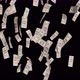Transparent Dollar Falling Money in 4K - VideoHive Item for Sale