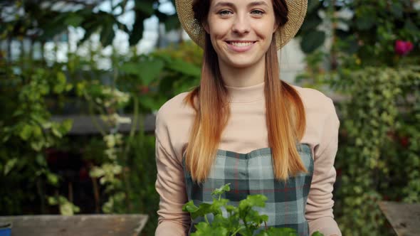 Slow Motion of Pretty Girl Farmer Walking in Greenhouse with Box of Green Plants