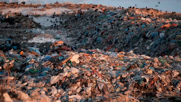 City Dump at Sunset