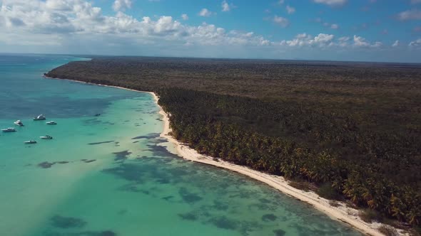 4k 24fps Drone Caribbean Beach In The Paradise With Palms Tree 2