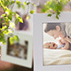 Photo Gallery on a Sunny Afternoon - VideoHive Item for Sale