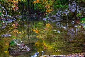 ng autumn.