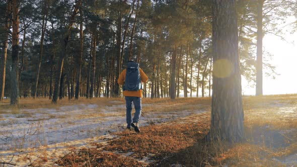 Adventure Man Hiker in Warm Clothes and Backpack Walking on Snow Covered Pathway in Pine Forest