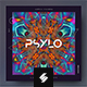 Psylo – Psytrance Music Album Cover Template - GraphicRiver Item for Sale