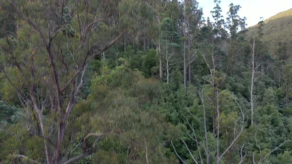 North West Bay River, Neika, Tasmania, Australia Aerial Drone 4K