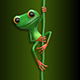 3D Illustration of a Green Frog on a Liana - GraphicRiver Item for Sale