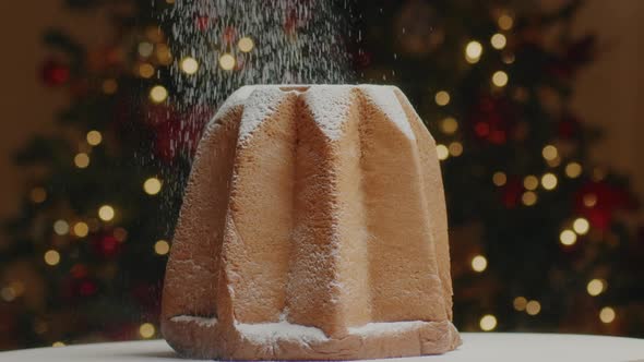 Christmas cake with powdered sugar. Pandoro