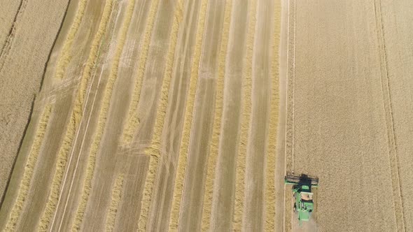 Combine Harvester on Wheat Field