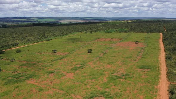 Deforested land in the Brazilian savannah will be plowed for soybean production - ascending aerial v