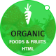 Organic Food and Fruits Template - ThemeForest Item for Sale