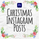 Merry Christmas Instagram Posts - VideoHive Item for Sale