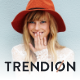 Trendion | A Personal Lifestyle Blog and Magazine WordPress Theme - ThemeForest Item for Sale