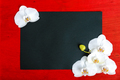 The black rectangle on a red wooden background decorated with white orchid - PhotoDune Item for Sale