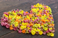 Colorful pasta colored by vegetables - PhotoDune Item for Sale