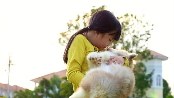 Cute Asian Girl Kissing With Siberian Husky Puppy In The Park