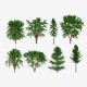 Tree Collection - 3DOcean Item for Sale