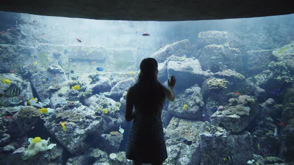 Woman Touching the Exhibit Glass in Dubai Aquarium